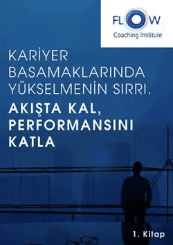 Kariyer Basamakları 2